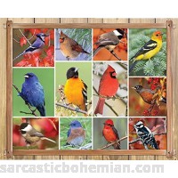 Springbok Songbirds 100 Piece Jigsaw Puzzle B01GL8JJEW